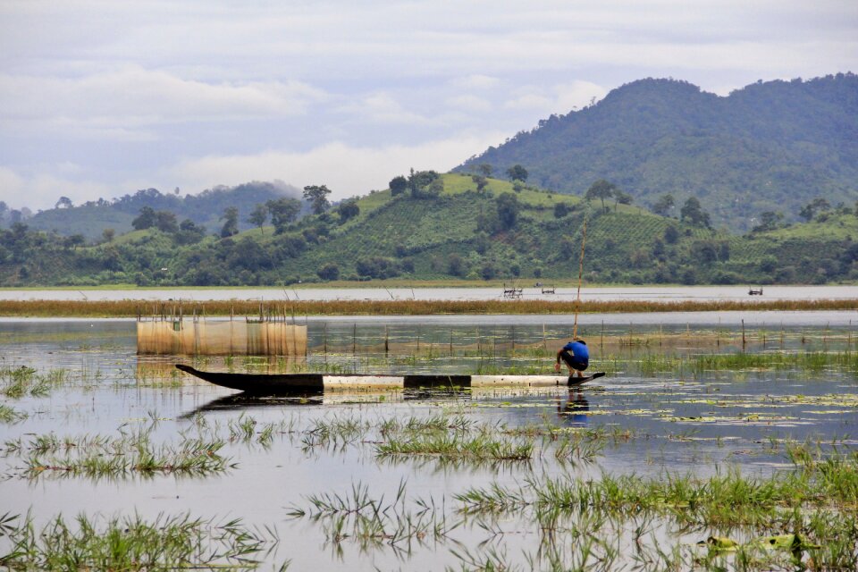 Background rice fields rowing
