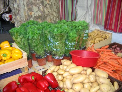 Fresh food farmers market photo
