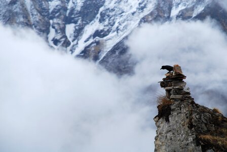 Cairn annapurna