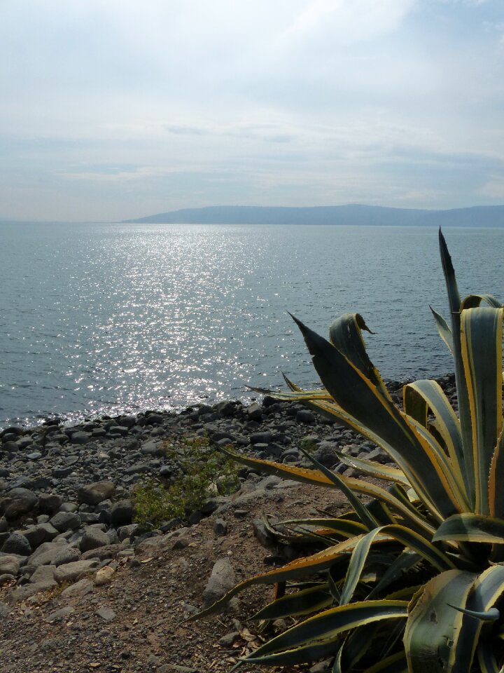 Sea of galilee mood water