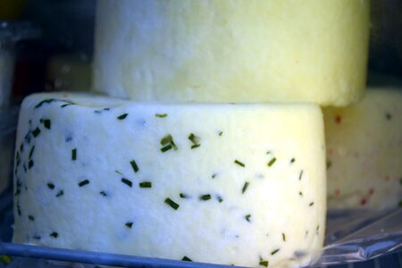 Cow cheese cow milk