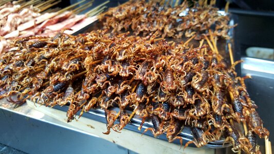 Chinese food chinese cuisine