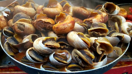 Snail baked street food photo