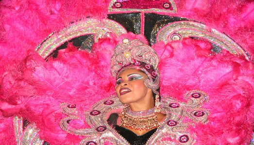 Pink feathers carnaval pink lady