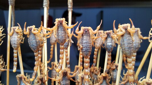 Chinese food chinese cuisine
