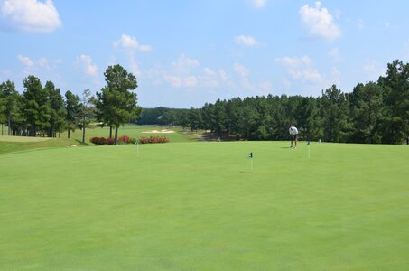 Green golfer nature