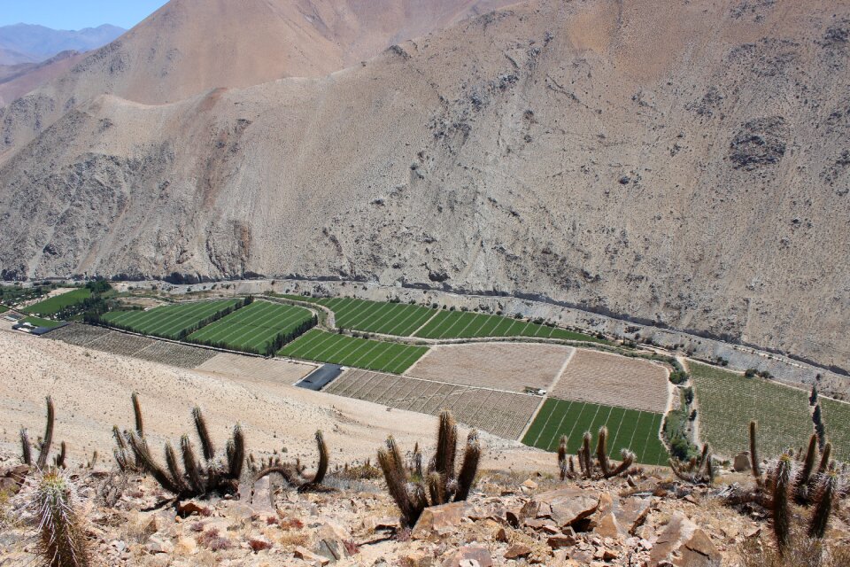 Chile paihuano elqui