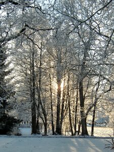 Snowy cold frozen photo