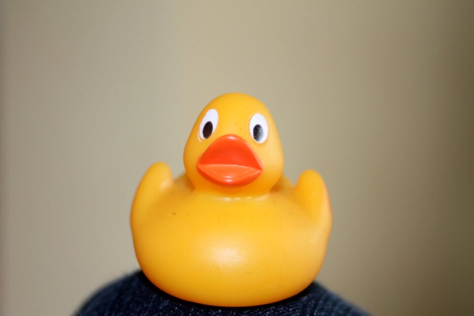 Rubber cute rubber duck