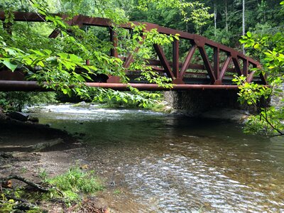 Creek great smokey mountains tree