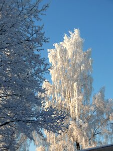 Snow ice ice crystals