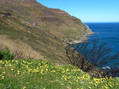 Cape peninsula nature ocean