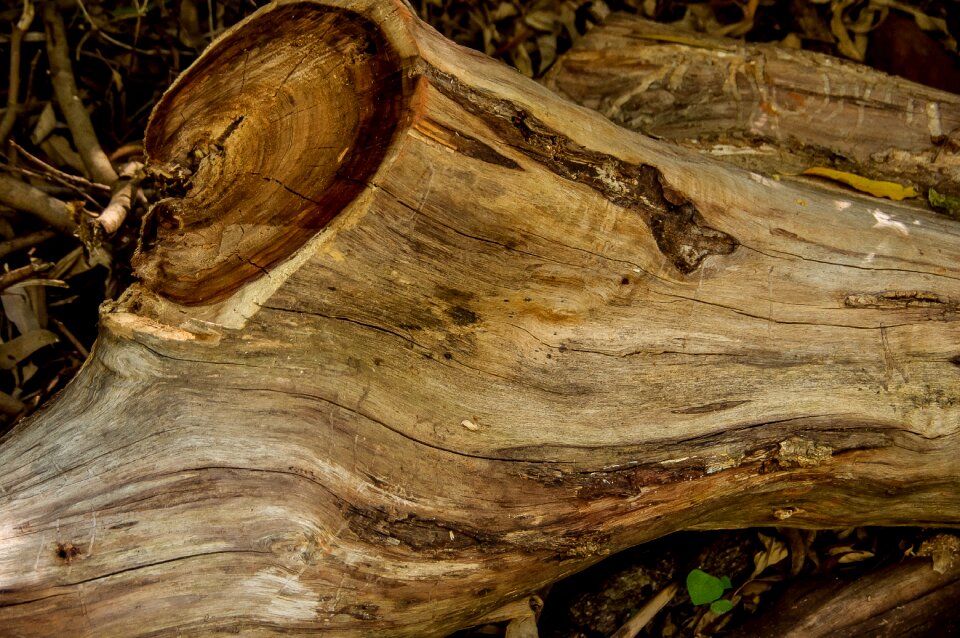 Sawn timber texture