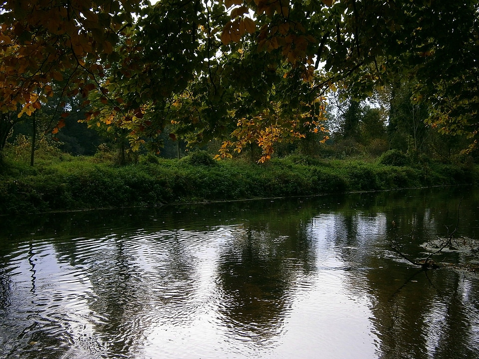 Water reflection mirroring