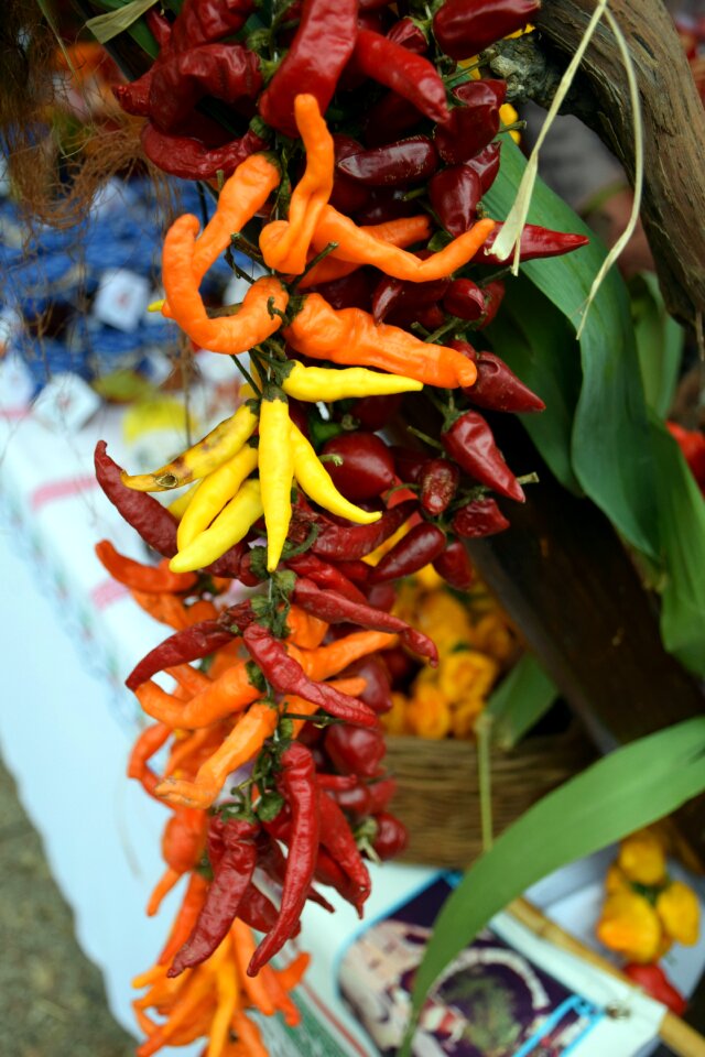 Orange food chili photo