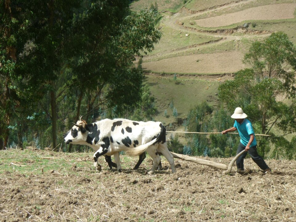 Field mount landscape photo