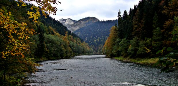 Landscape nature autumn photo