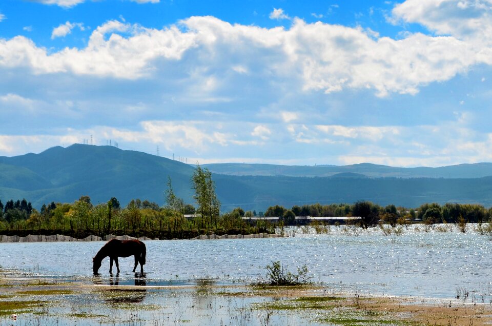 Lake alpine open country