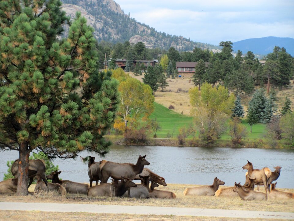 Colorado park mountains