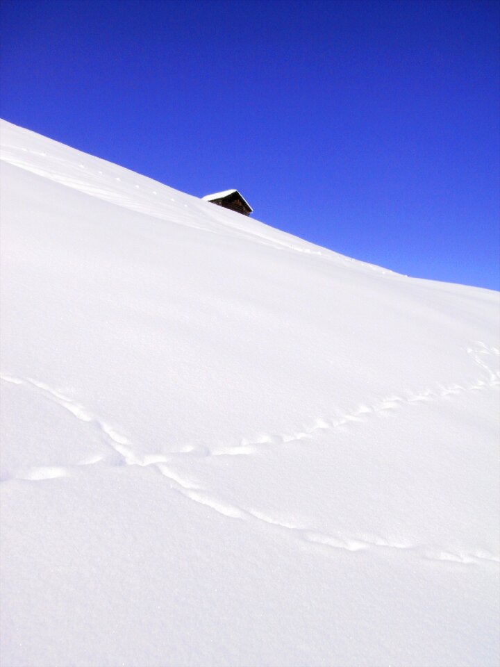 Cold wintry white photo