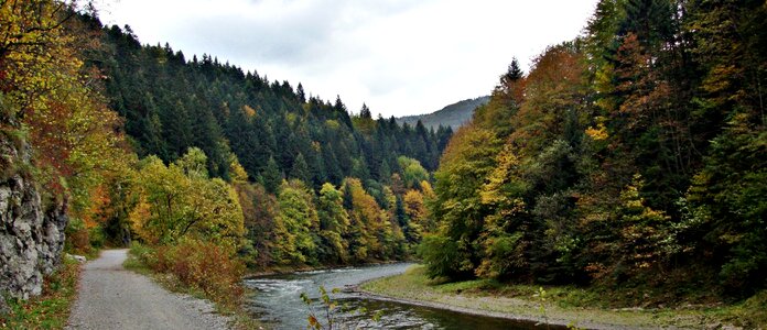 Nature autumn trail