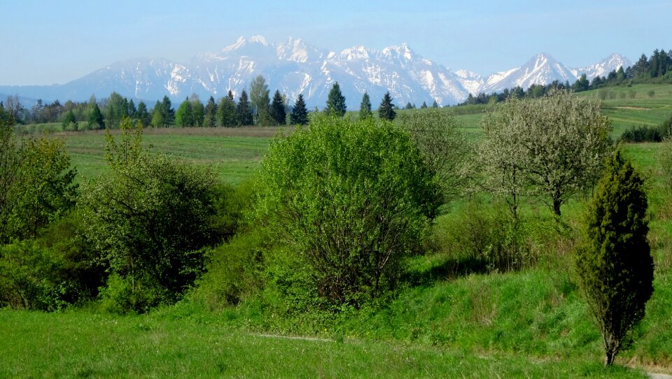 The high tatras spring nature