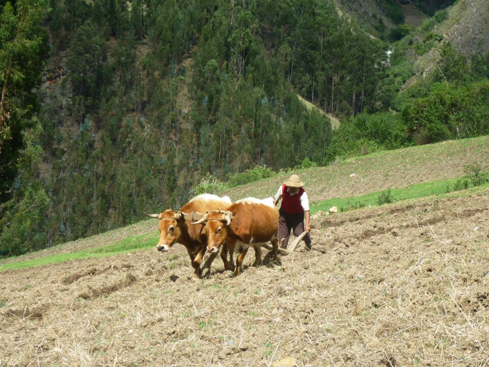 Field mount landscape