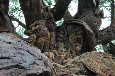 Wood carving animals