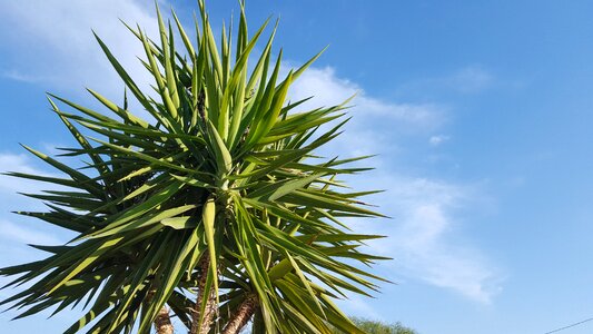 Spain blue skies summer