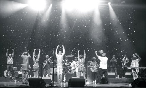 Seun kuti gray concert
