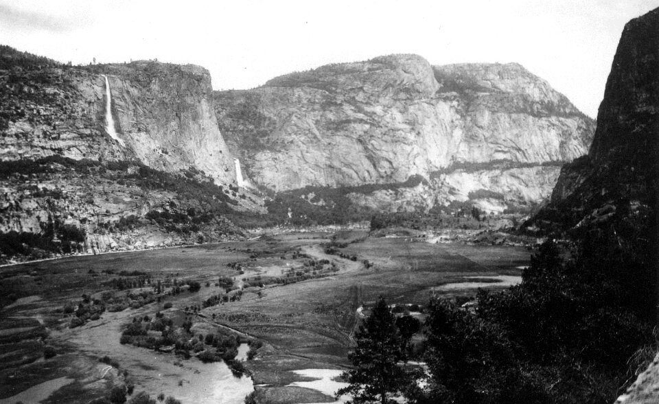Mountain valley forest