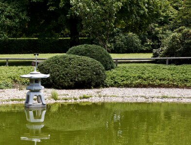 Background image park green