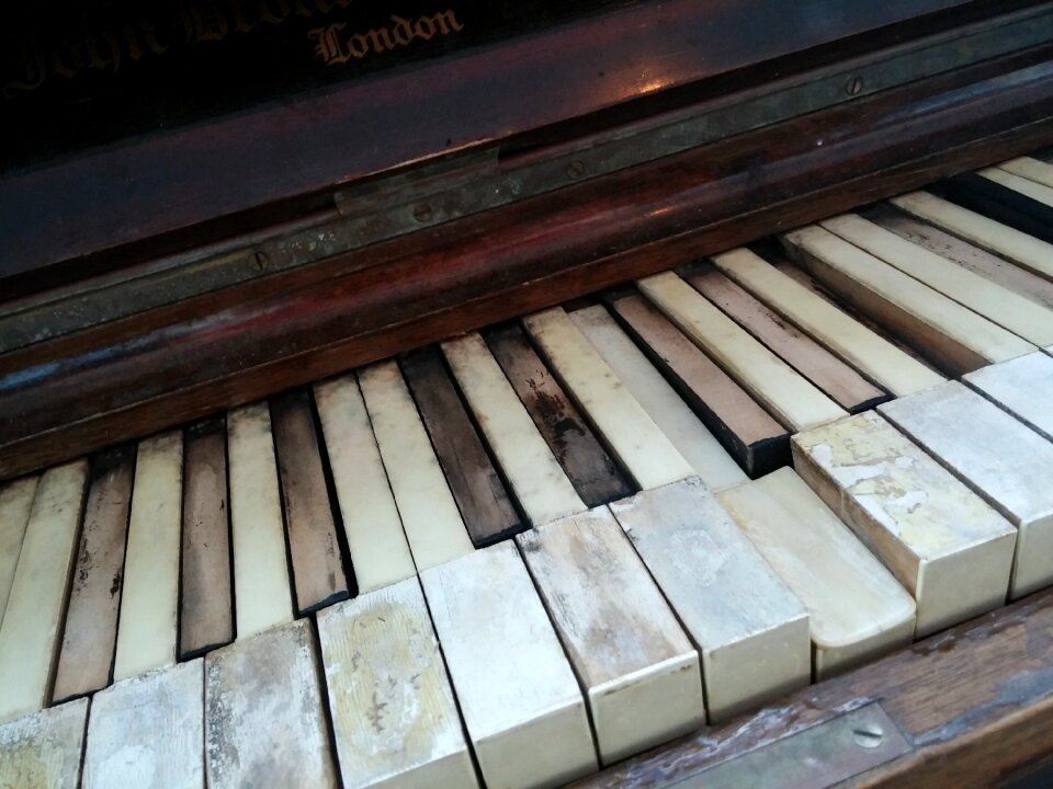 Ivory music piano keys
