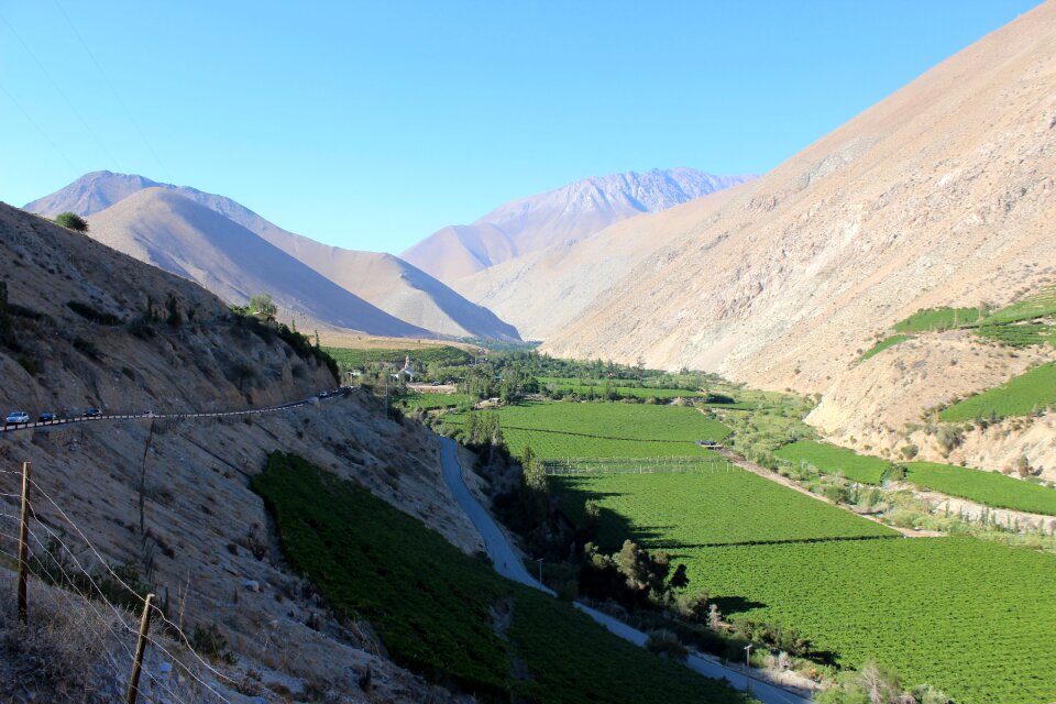 Chile elqui pisco