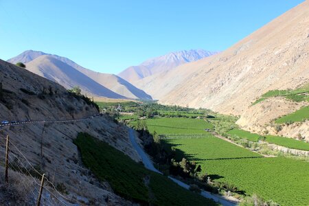 Chile elqui pisco