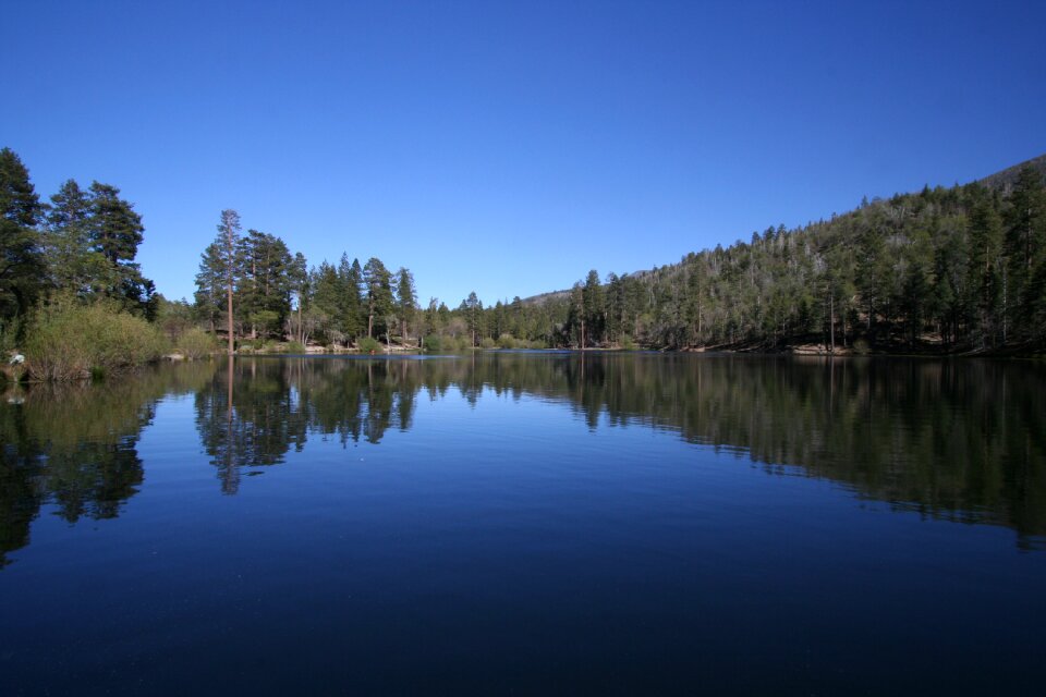 Reflections on the water forest dark blue water
