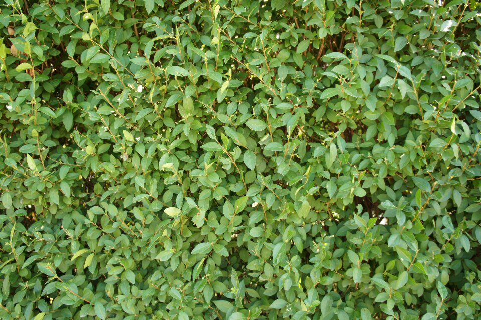 Structure texture background