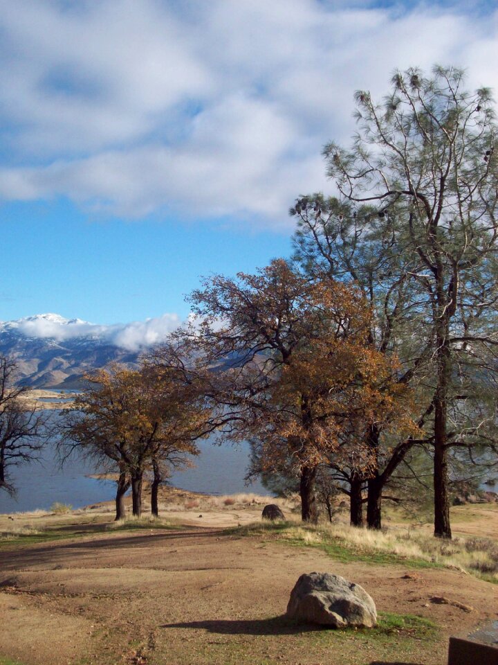 Clouds trees oak