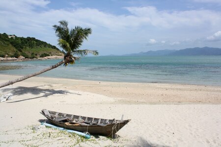 Caribbean sea hammock photo
