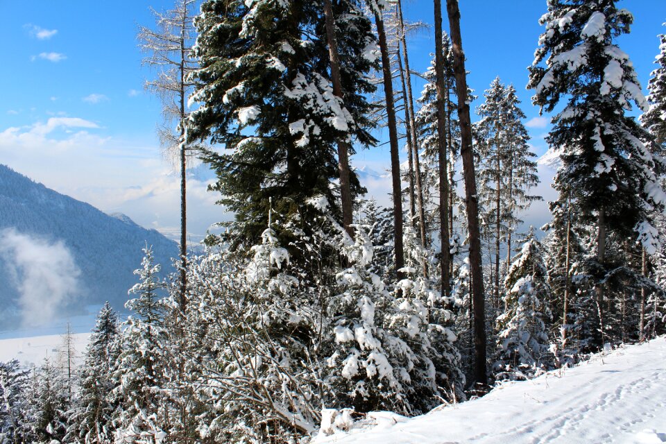 Austria alps alpbach