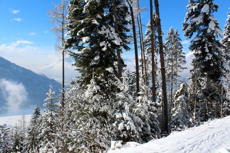 Austria alps alpbach