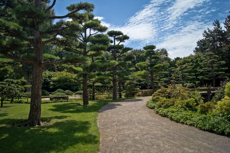 Away background image park