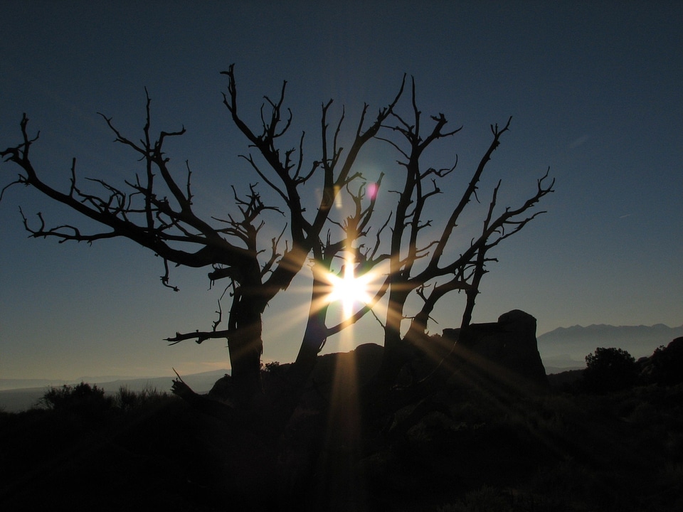 Desert southwest sky