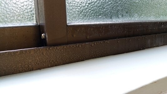 Dew condensation water drops