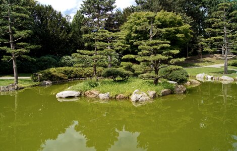 Background image park green