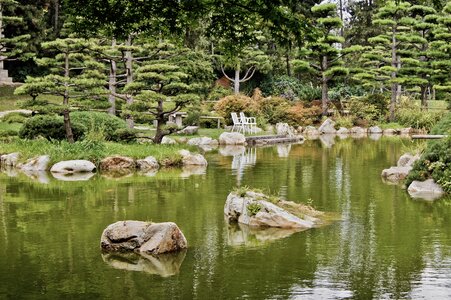 Background image park green