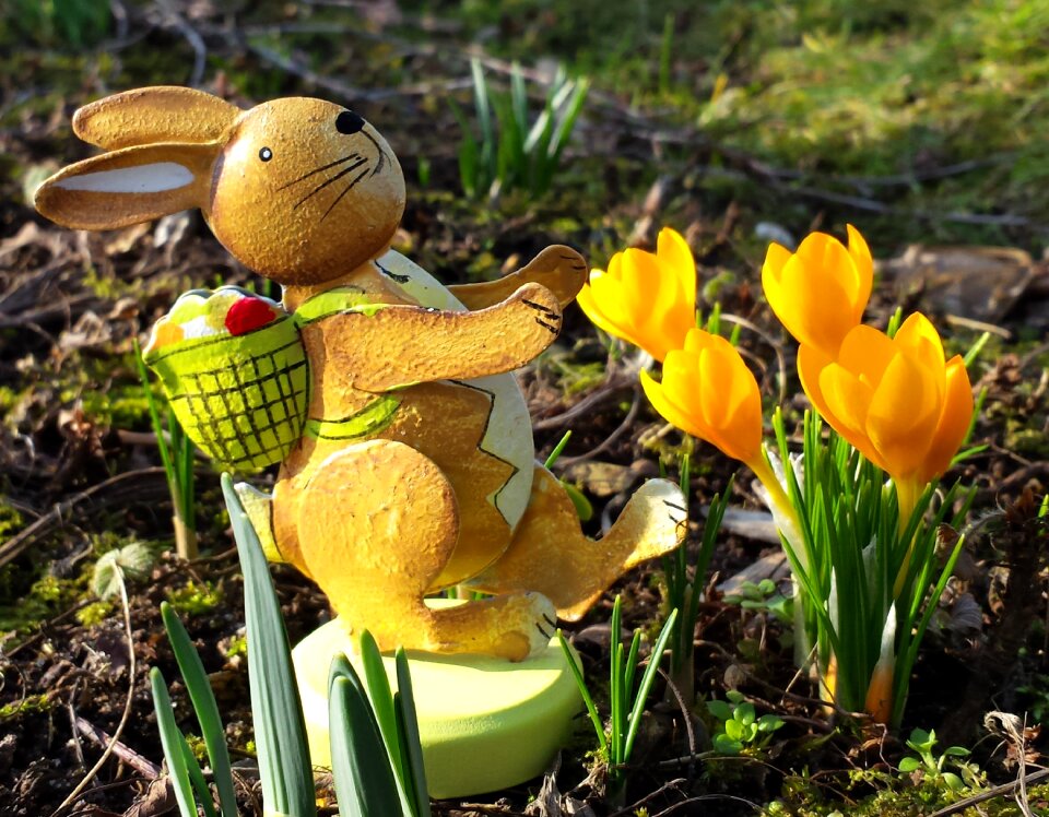 Hare flowers holiday