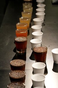 Coffee tasting coffee scorching