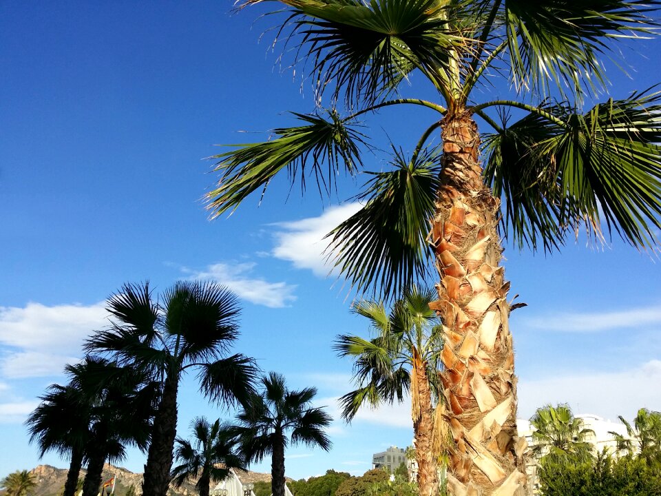 Nature clouds blue photo