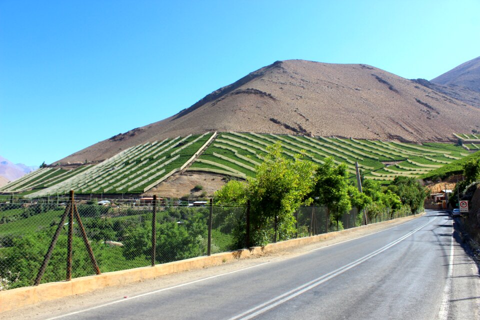 Chile elqui pisco